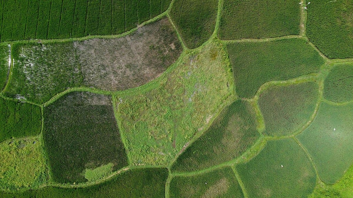 Aerial view of a patchwork of cultivated farmland fields around a village