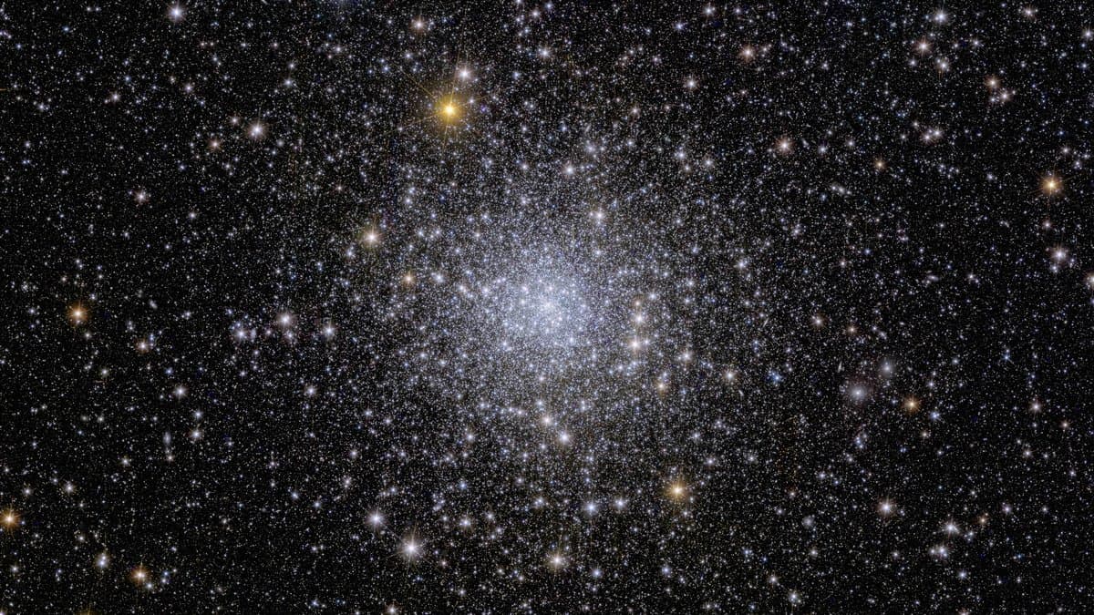 A dense, crowded field of tens of thousands of stars resolved by the Euclid space telescope in the globular cluster NGC 6397