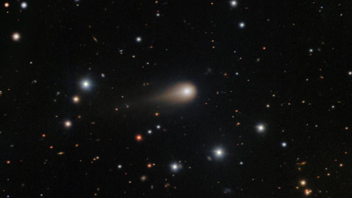 Telescope image of interstellar comet 3I/ATLAS showing a bright coma and a growing tail against a star field