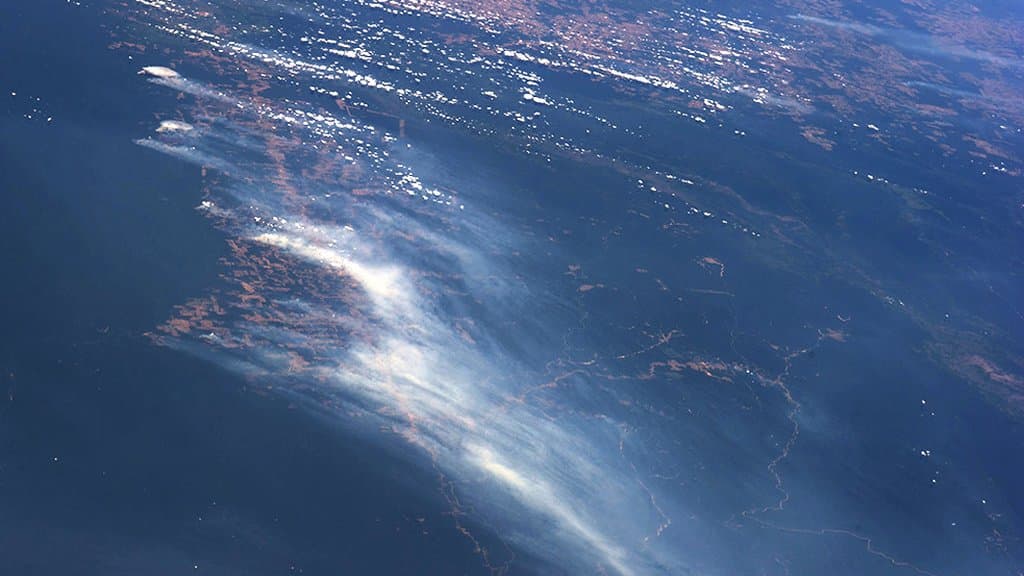 Satellite view of the Amazon river basin and surrounding rainforest
