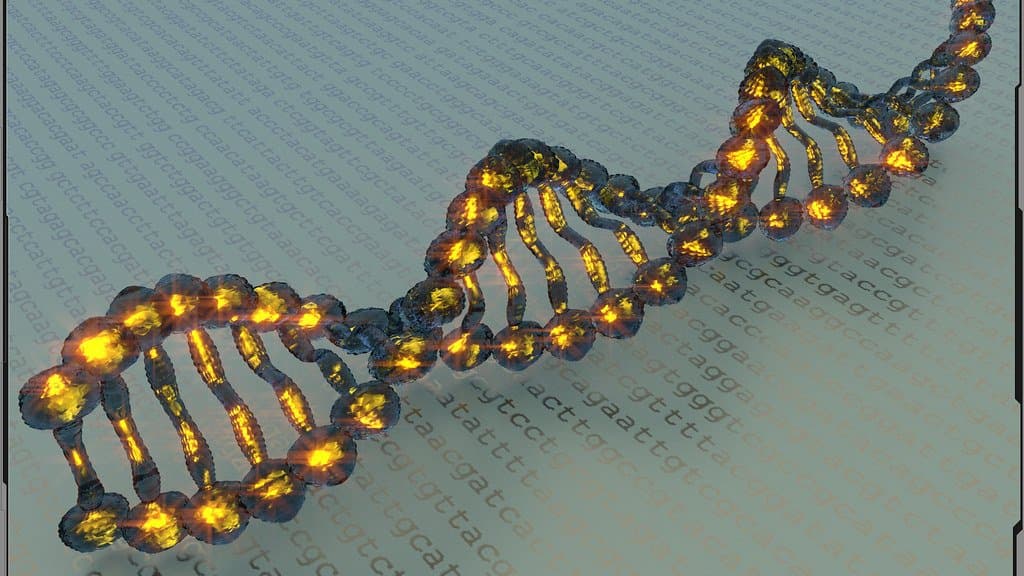 Illustrative model of a DNA double helix strand