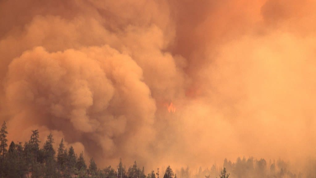 A wildfire burning through forest with heavy smoke