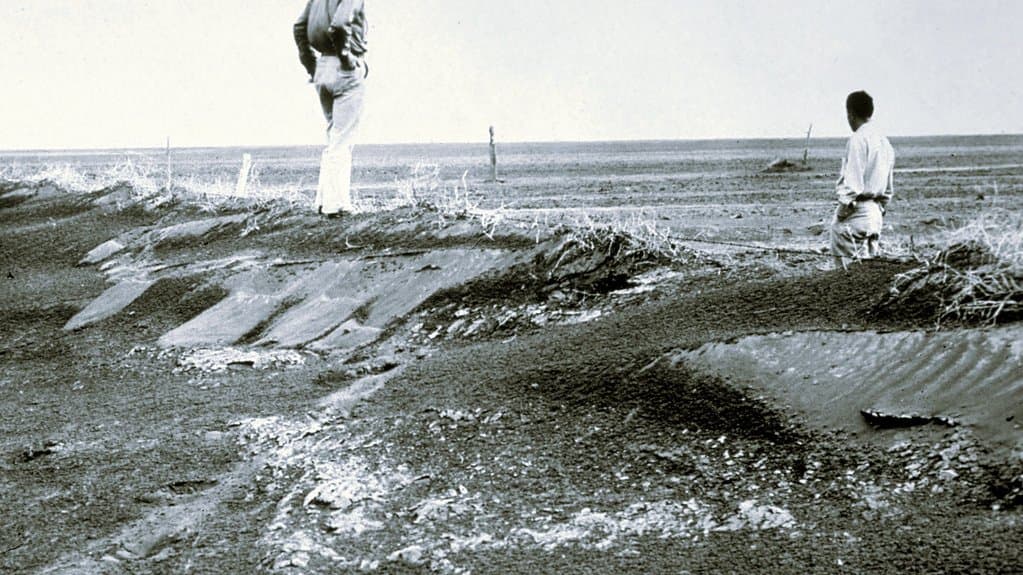 A farmer inspects wind-eroded farmland with damaged crop rows
