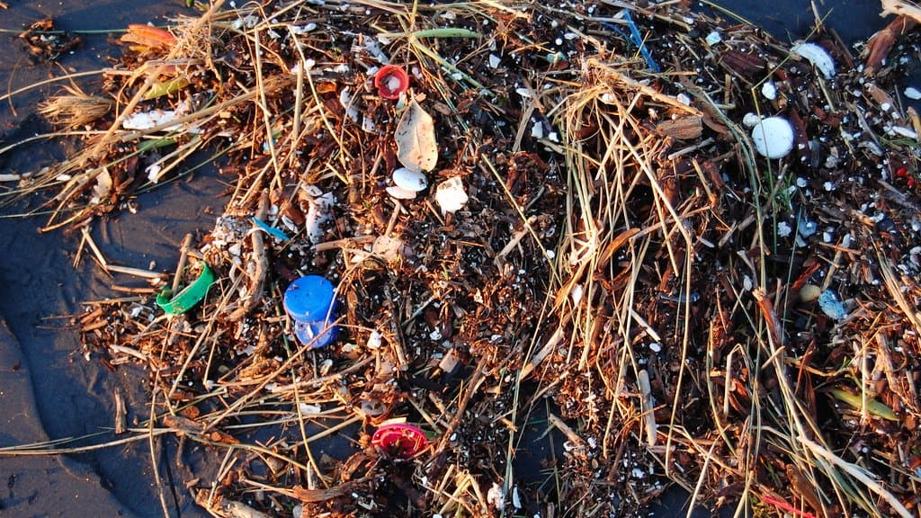 Plastic debris washed up and floating along a shoreline