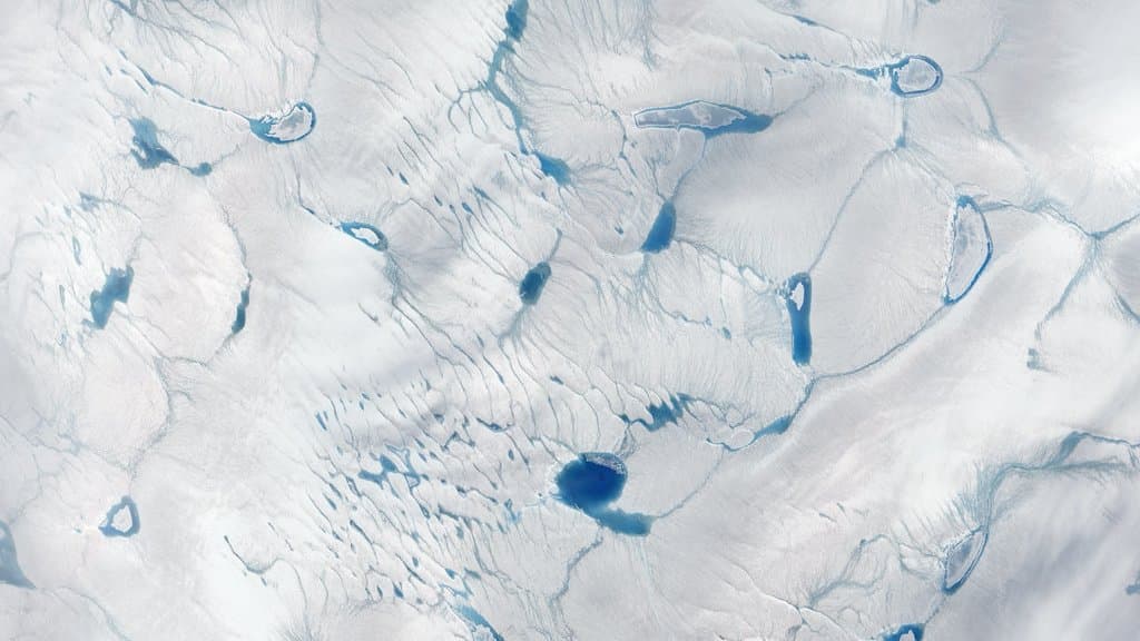 An aerial view straight down onto the surface of the Greenland ice sheet: a white, faintly ridged and crevassed plain, with dozens of deep blue meltwater pools of varying size and thin blue meltwater channels threading between them.