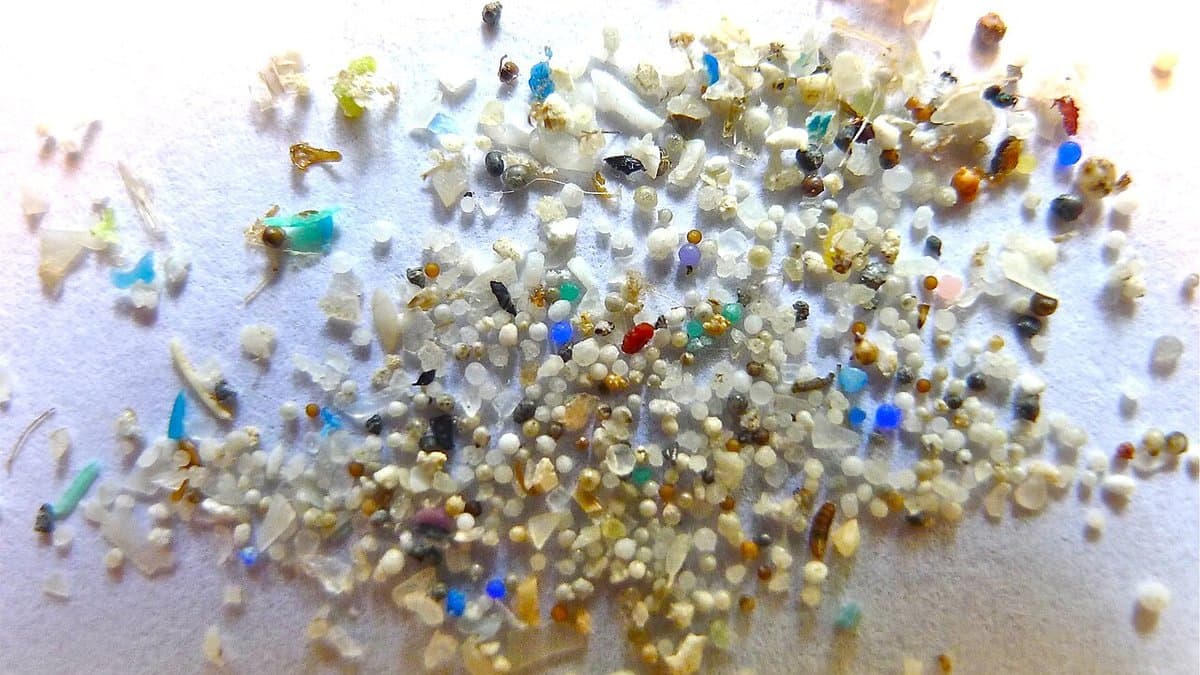 A loose heap of microplastic particles spread on a white sheet: hundreds of sand-grain-sized fragments, spheres and pellets, mostly white and translucent, with scattered blue, turquoise, red, brown and pale-green pieces among them.