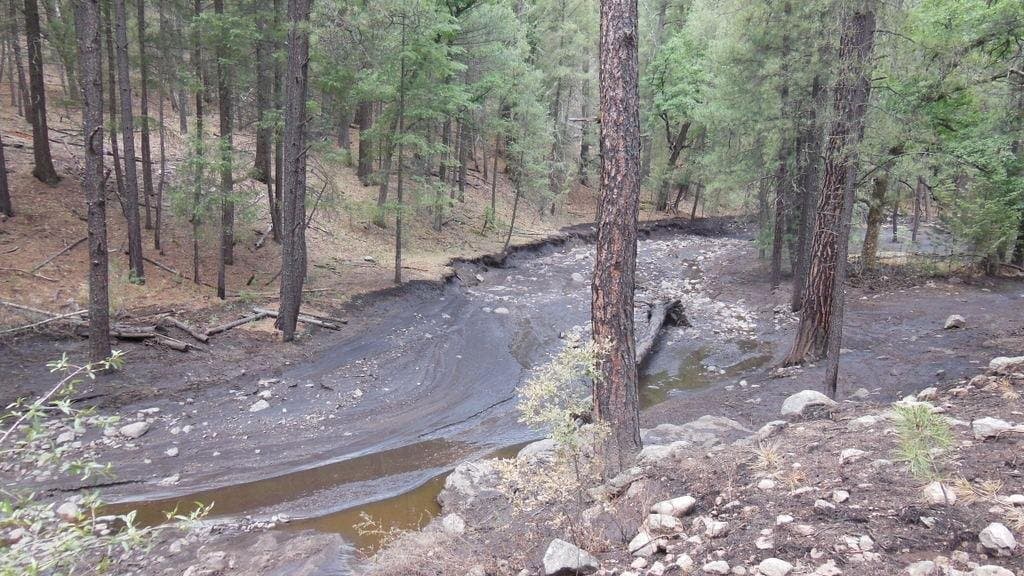 A creek channel through a burned forest coated in black ash, with dark ash-laden water pooling among the rocks.