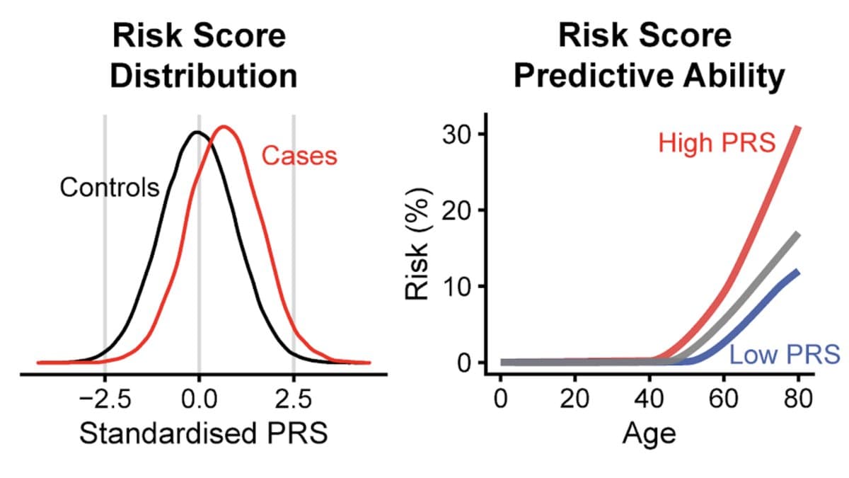 Two charts: overlapping bell curves of a standardised polygenic risk score for cases and controls, and a chart of risk rising with age for high, average and low scores