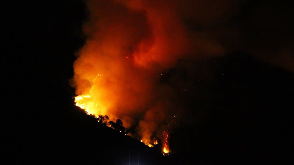 A wildfire burning at night along a hillside, with orange flames and smoke lit from below