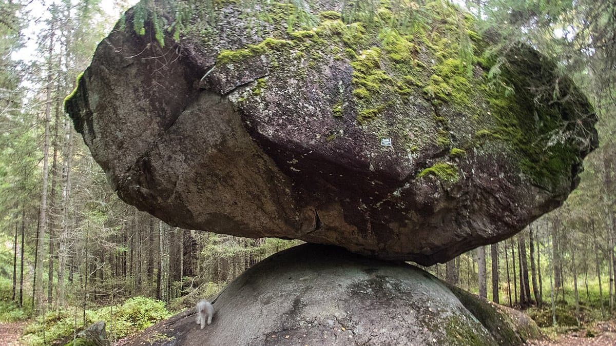 A house-sized boulder resting on the smooth crown of a bedrock dome, touching it over a small area, in a Finnish spruce forest
