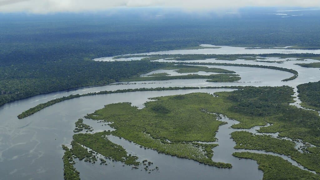 Aerial view of the Brazilian Amazon: a wide braided river channel threading between forested islands, with unbroken rainforest to the horizon