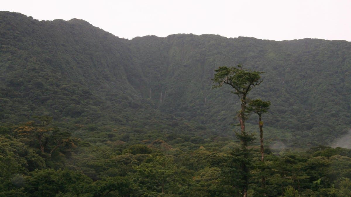 Mist-wreathed cloud-forest canopy and the steep forested ridge below the summit of Volcán Cacao, north-western Costa Rica.