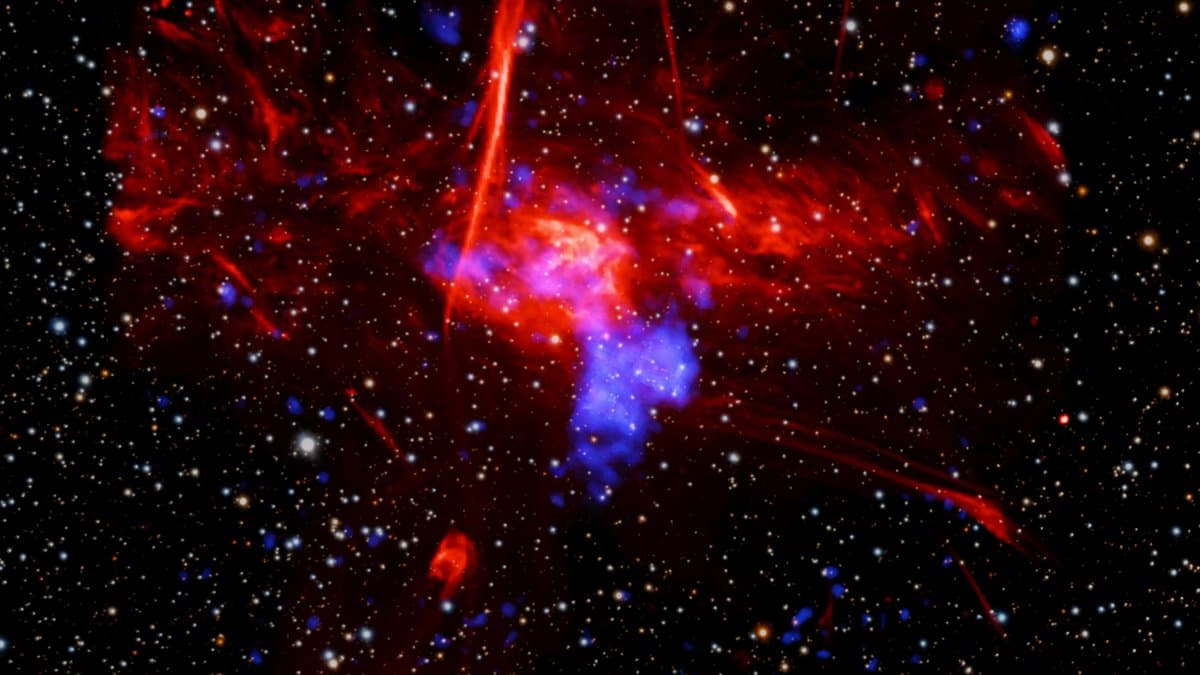 Multiwavelength image of the Sagittarius C region near the centre of the Milky Way: wispy red radio filaments and clouds mapped by MeerKAT, with a bright blue cloud of X-ray light from Chandra and XMM-Newton just below centre, all set in a dense field of stars