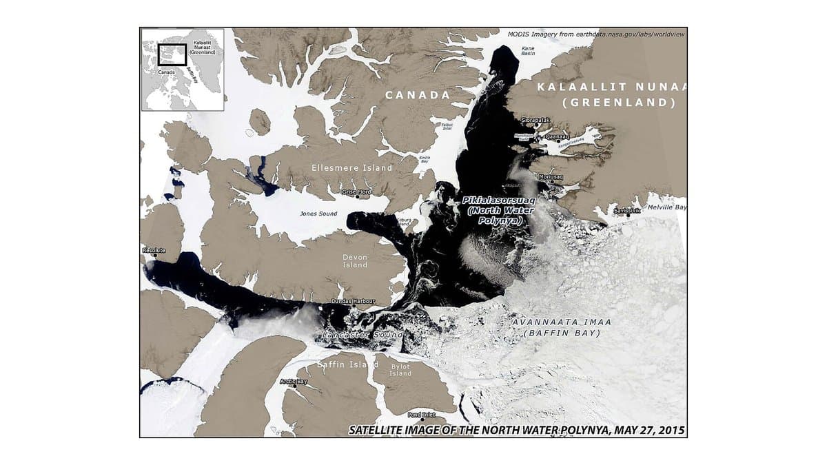 Labelled MODIS satellite image showing the dark open water of the North Water Polynya between Ellesmere Island and Greenland, surrounded by white sea ice.