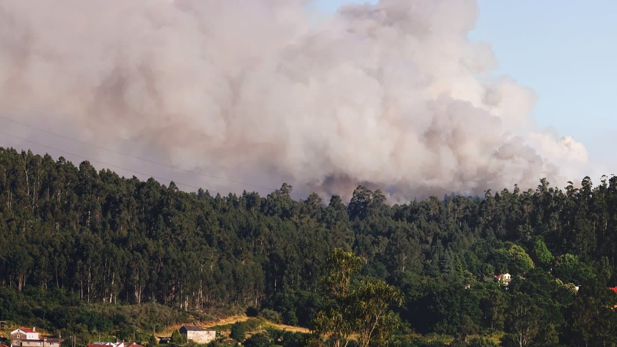 A dense wall of pale smoke rises from behind a eucalyptus-covered ridge, with scattered houses on the slope below.