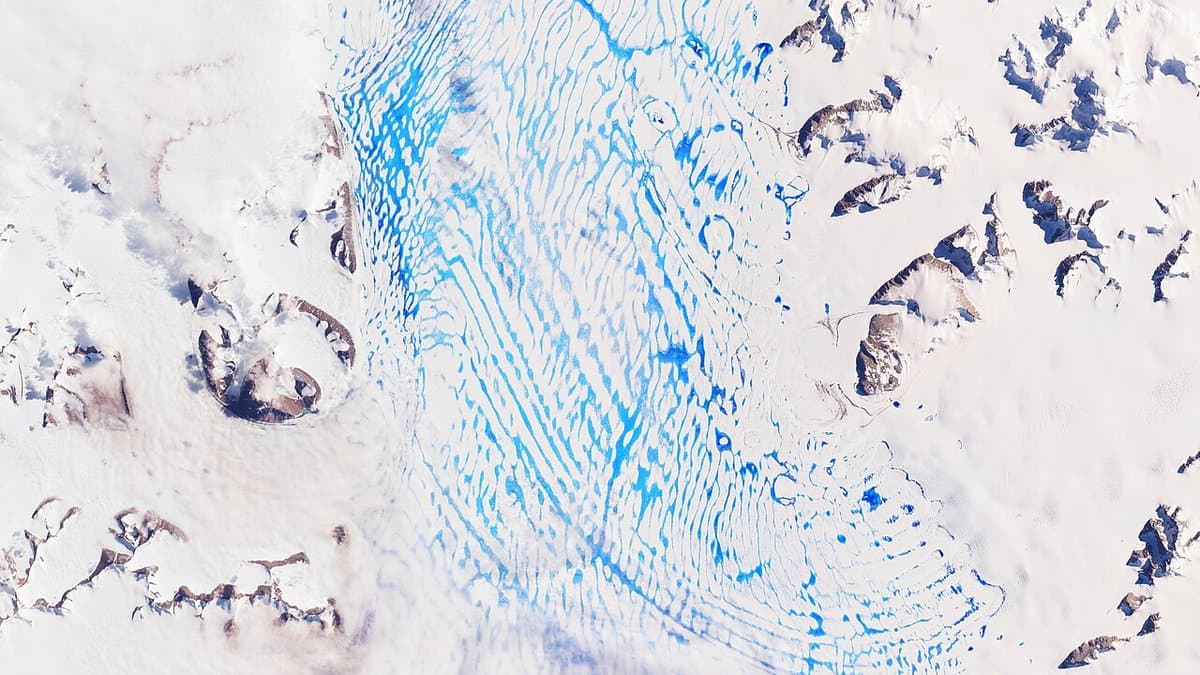 Satellite view of a white Antarctic ice shelf streaked with hundreds of bright blue meltwater ponds and channels, with dark rock ridges at the edges.