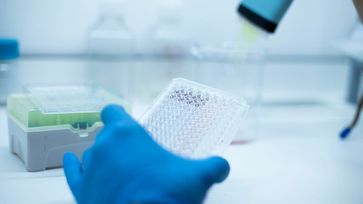 A gloved hand holds a clear 96-well cell culture plate in a bright laboratory while a multichannel pipette dispenses green liquid above it.