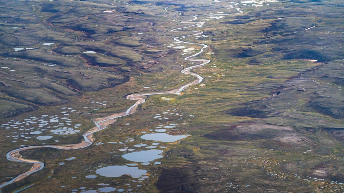 Aerial view of Arctic tundra dotted with hundreds of small ponds and crossed by pale meandering streams.