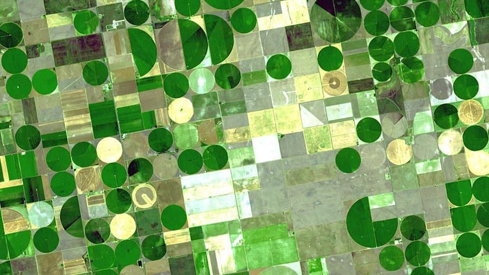 A satellite view of farmland covered in dark green circles, each one a field watered by a rotating centre-pivot sprinkler, set among square dryland plots.