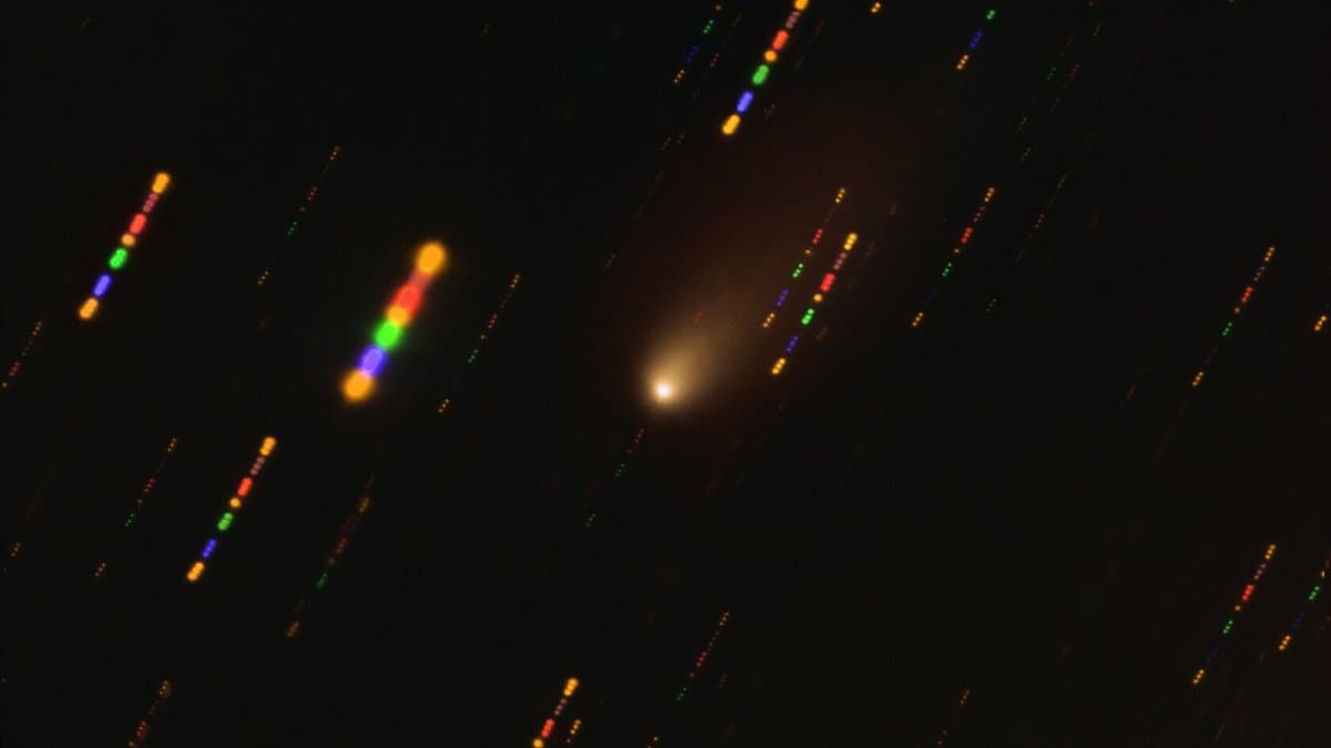 Telescope image of interstellar comet 2I/Borisov: a bright fuzzy coma with a short tail against a field of stars