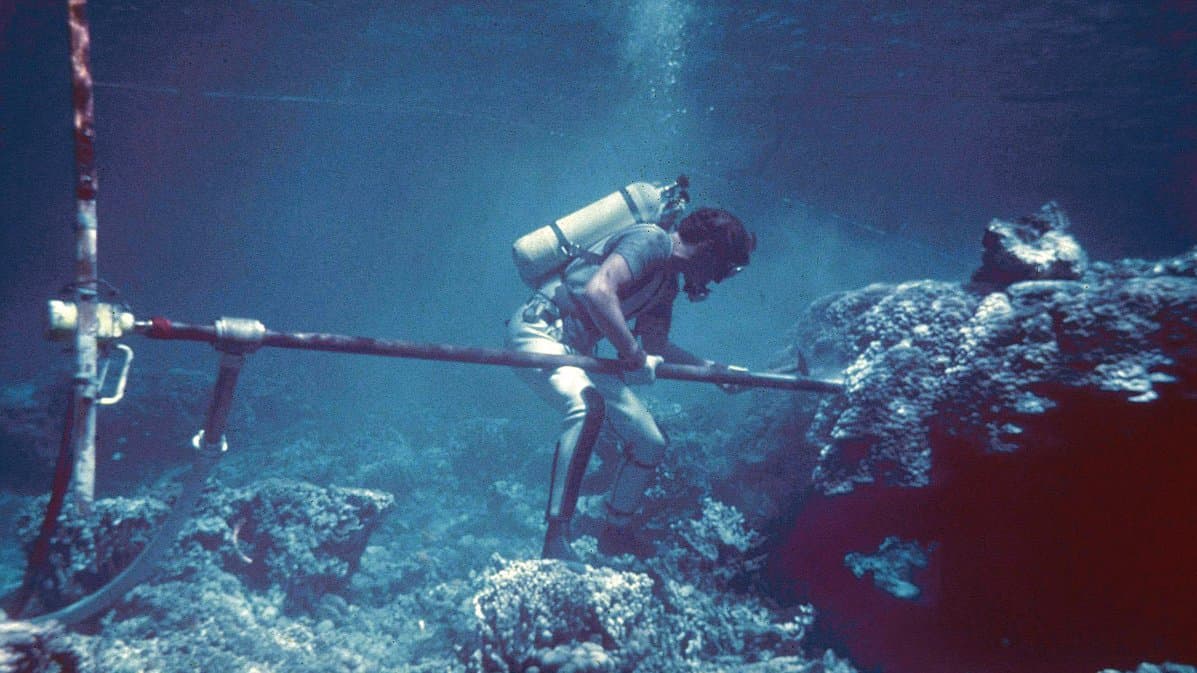 A scuba diver operating a drill on a large dome-shaped coral colony underwater to extract a cylindrical core.