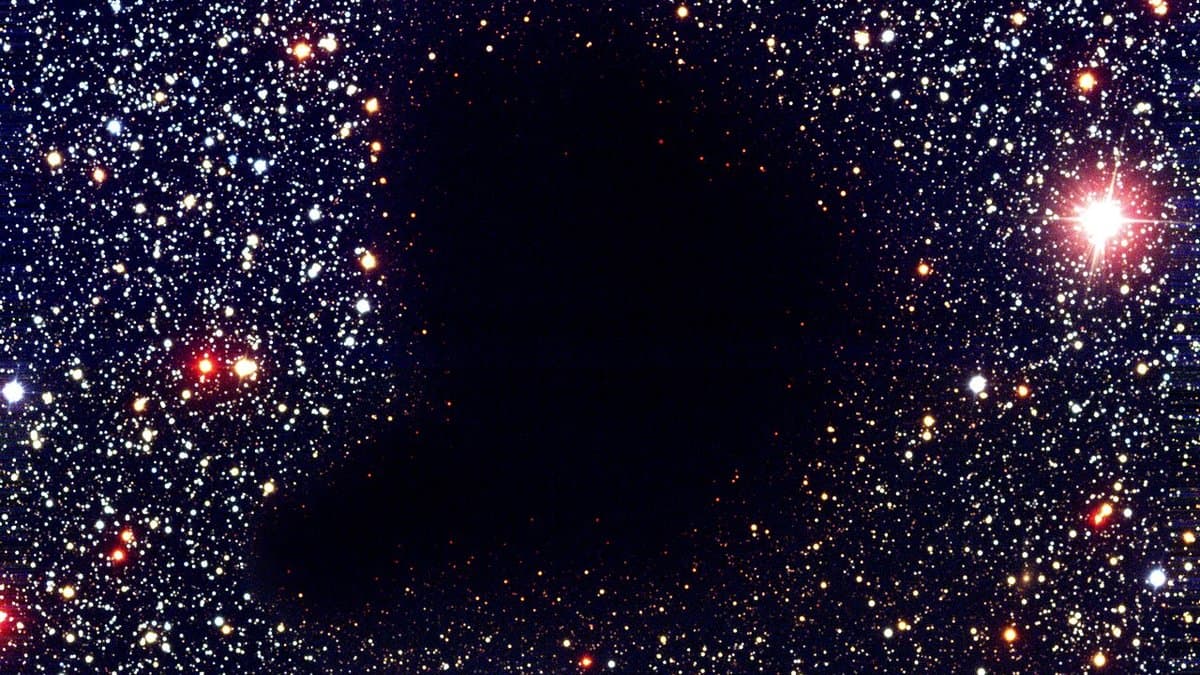 A dense field of red and blue stars with an opaque, irregular black cloud silhouetted at the centre, blotting out the stars behind it.