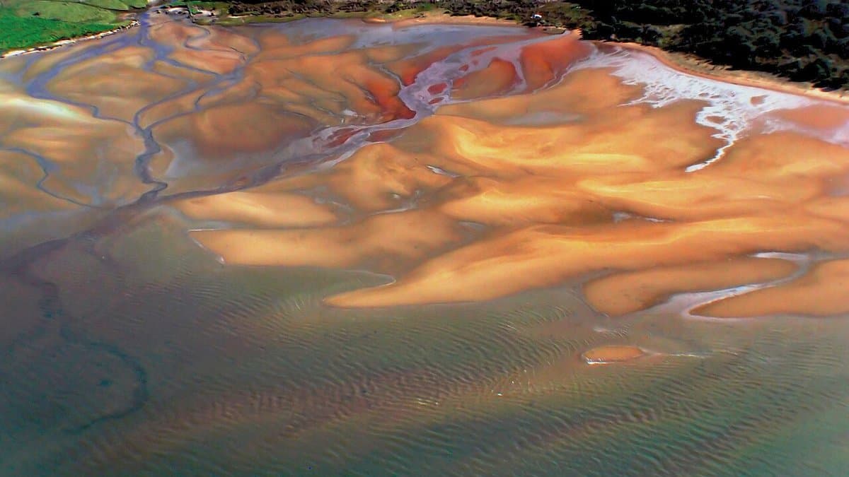 An aerial view of an intertidal sandflat exposed at low tide, with channels braided across the wet sediment.