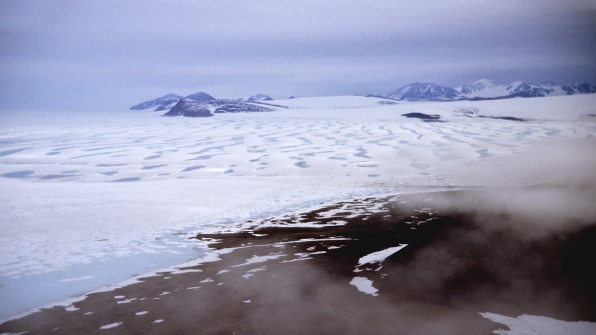 An aerial view of the ridged surface of an Arctic ice shelf dotted with blue meltwater ponds, with dark rock, fog and snow-covered mountains beyond.