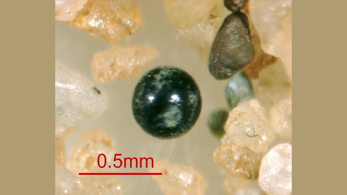 A dark, glassy, near-spherical grain of extraterrestrial dust photographed under a microscope among pale sand grains, with a 0.5 millimetre scale marked in red.