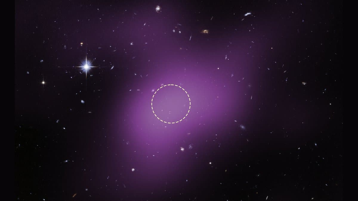 A dark astronomical field speckled with faint stars and distant galaxies, with a diffuse magenta patch of radio emission near the centre and a dashed white circle marking where that emission peaks; a bright star sits at the upper left.