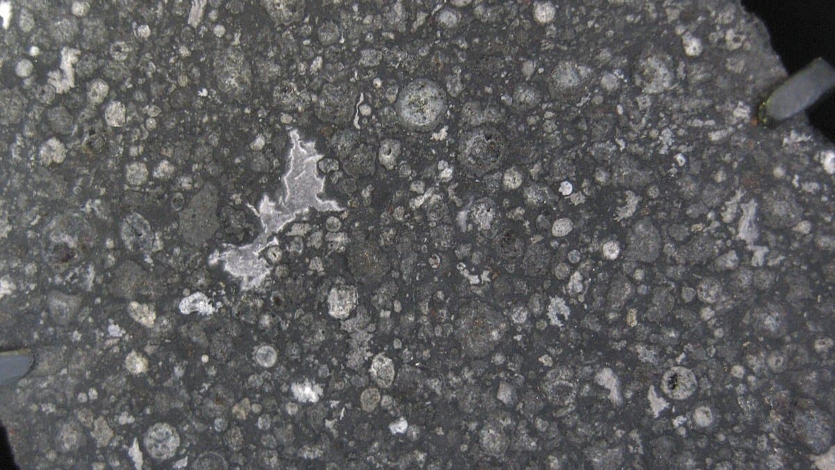 Cut and polished slab of the Allende carbonaceous chondrite meteorite, showing round grey chondrules and irregular white calcium-aluminum-rich inclusions set in a dark matrix.
