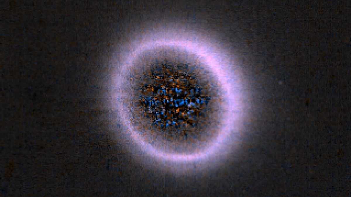 JWST NIRCam coronagraphic image of the star HD 181327: a bright pinkish ring of dust encircling a masked central star, surrounded by a fainter diffuse halo against a dark noisy background.