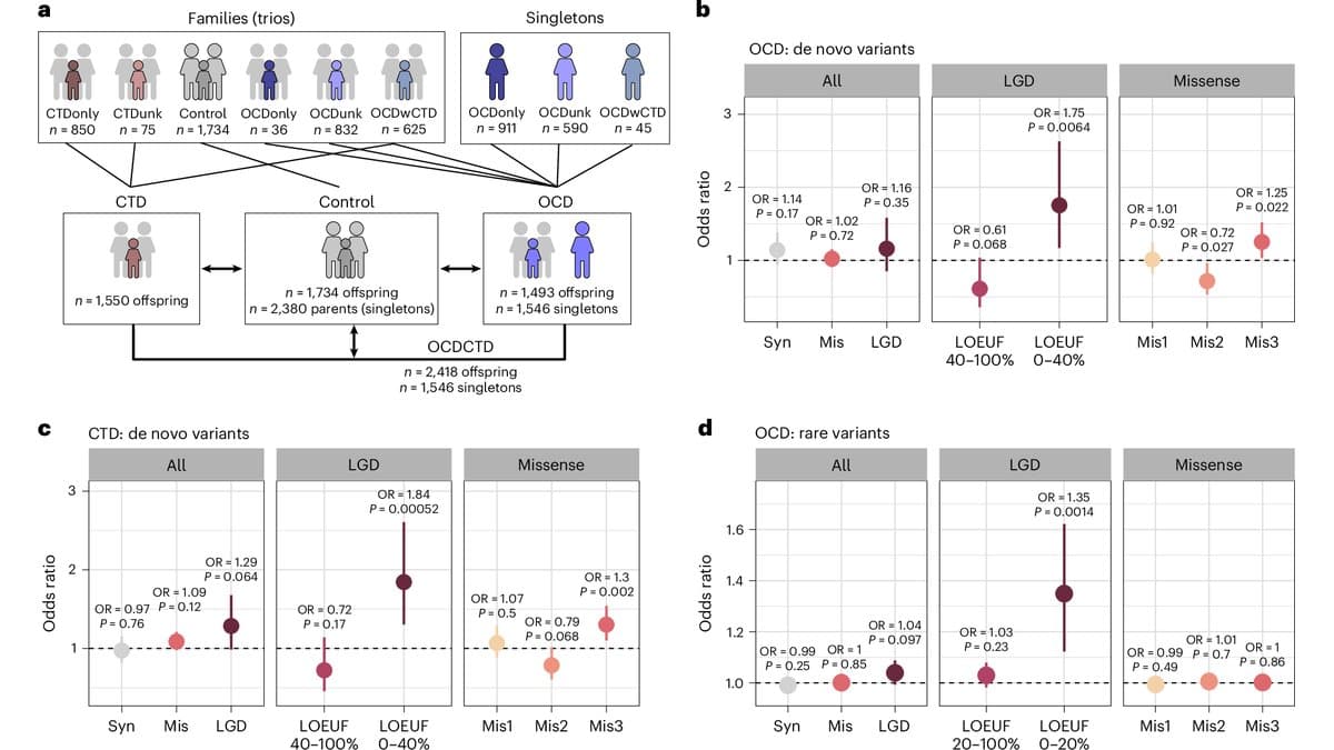 Multi-panel scientific figure: a flow diagram of the study cohort, showing families with sequenced parents and singleton patients grouped into OCD, chronic tic disorder and control cohorts, beside three odds-ratio plots for de novo and rare protein-coding variants.