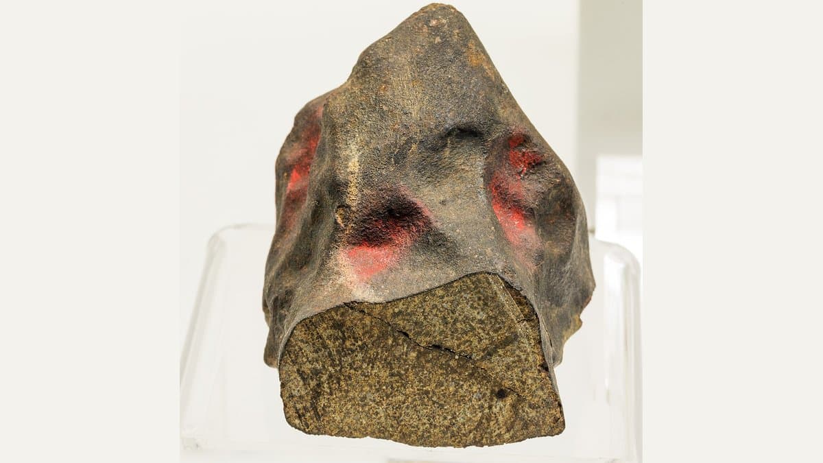 A stony chondrite meteorite with a dark, dimpled fusion crust, sawn across the base to expose a granular grey-green interior crossed by a crack.