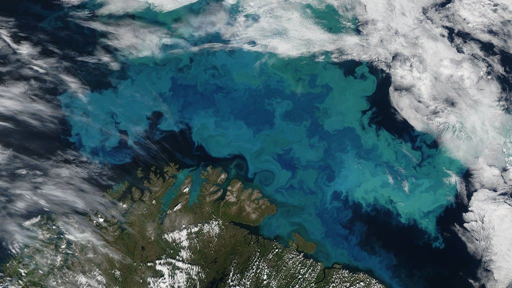 Satellite view of turquoise phytoplankton bloom swirls spreading across the Barents Sea over the continental shelf, with the snow-flecked coast of northern Norway below and banks of cloud at the edges.