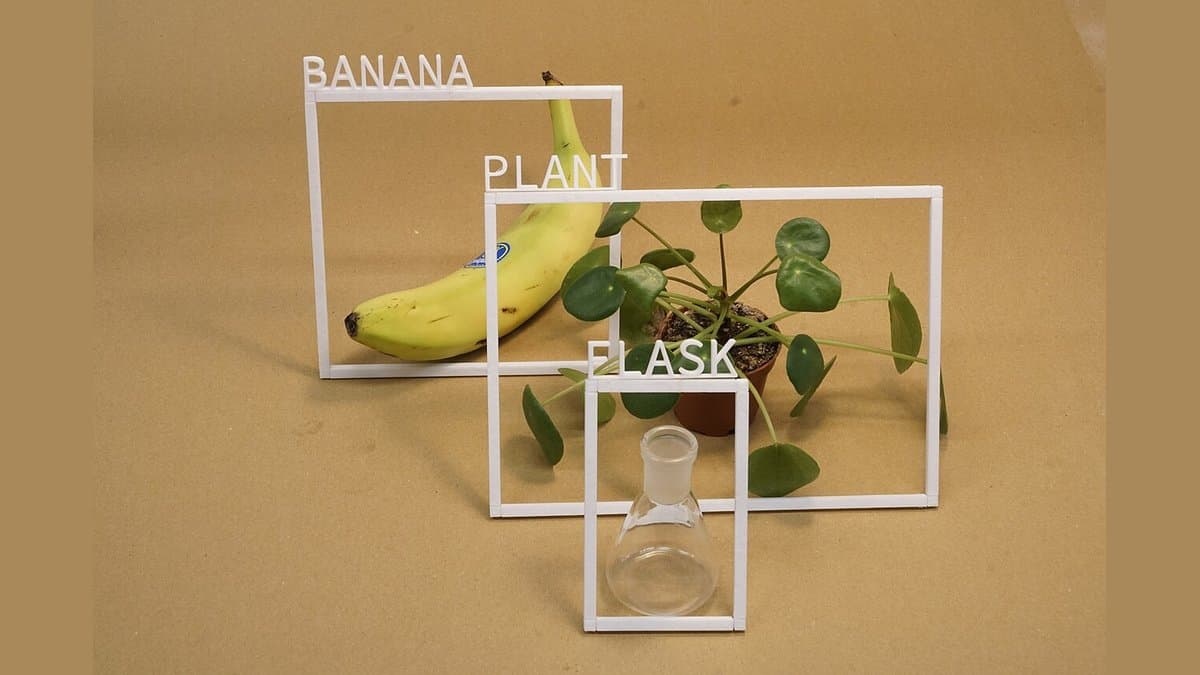 A banana, a potted plant and a glass flask on a tan backdrop, each enclosed by a white physical frame with printed word labels reading BANANA, PLANT and FLASK.