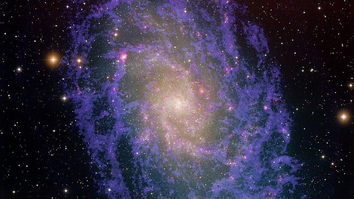 The spiral galaxy M33 in visible light with radio emission from neutral atomic hydrogen overlaid in blue, the hydrogen wrapping the galaxy beyond its starlit disc.