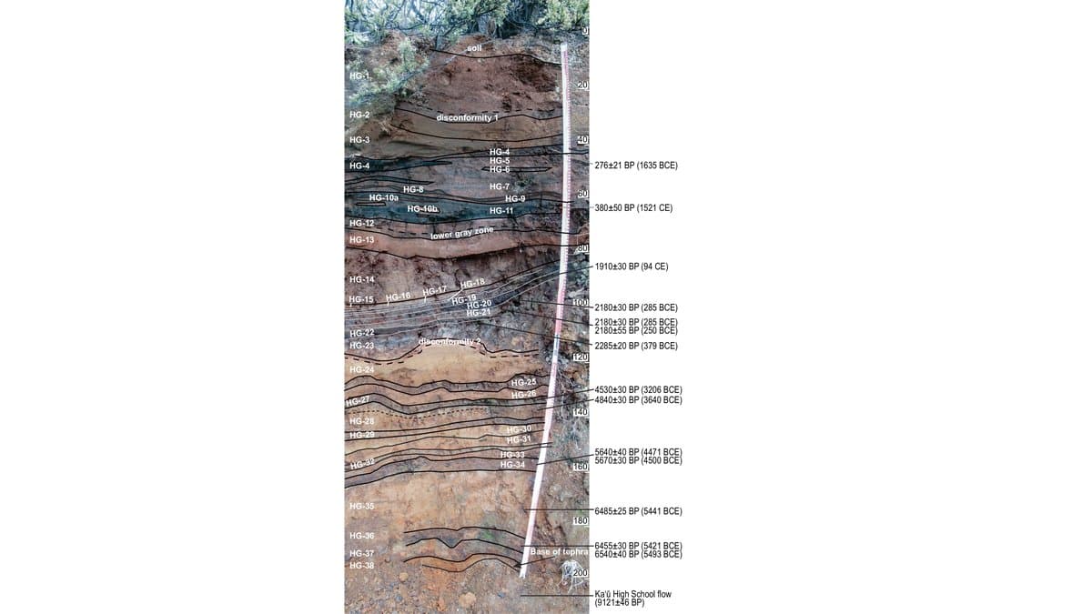 A two-metre vertical face of layered volcanic ash cut into a Hawaiian hillside, with 38 thin ash beds labelled HG-1 to HG-38, a depth scale in centimetres running down the right-hand side, and calibrated radiocarbon dates listed beside ten of the layers.
