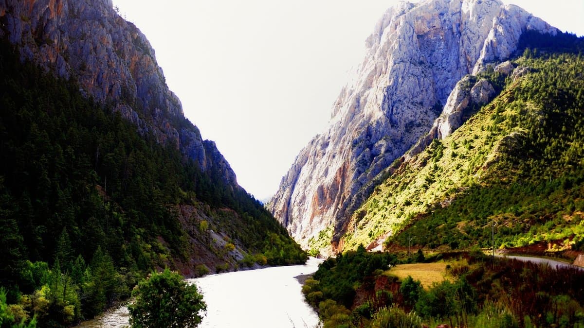 A deep river gorge in the Hengduan Mountains of eastern Tibet: bare grey cliffs rise on both sides above conifer-covered slopes, with a pale river running along the valley floor.