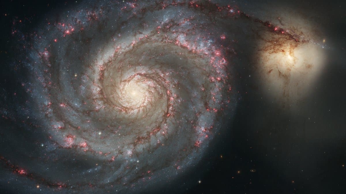Hubble photograph of the Whirlpool Galaxy, a large face-on spiral with blue-white arms and pink star-forming knots, with a smaller golden companion galaxy attached to the tip of one arm.