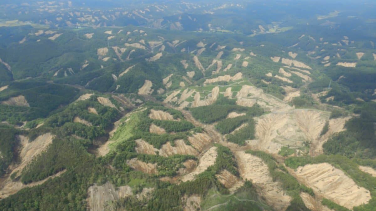 Oblique aerial view of steep forested hills where dozens of landslides have torn away the trees, leaving broad pale scars of bare soil across the ridges.
