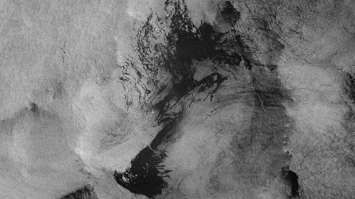 Copernicus Sentinel-1 radar image of the sea, with a large dark plume of oil spreading in ribbons across grey, wind-textured water.