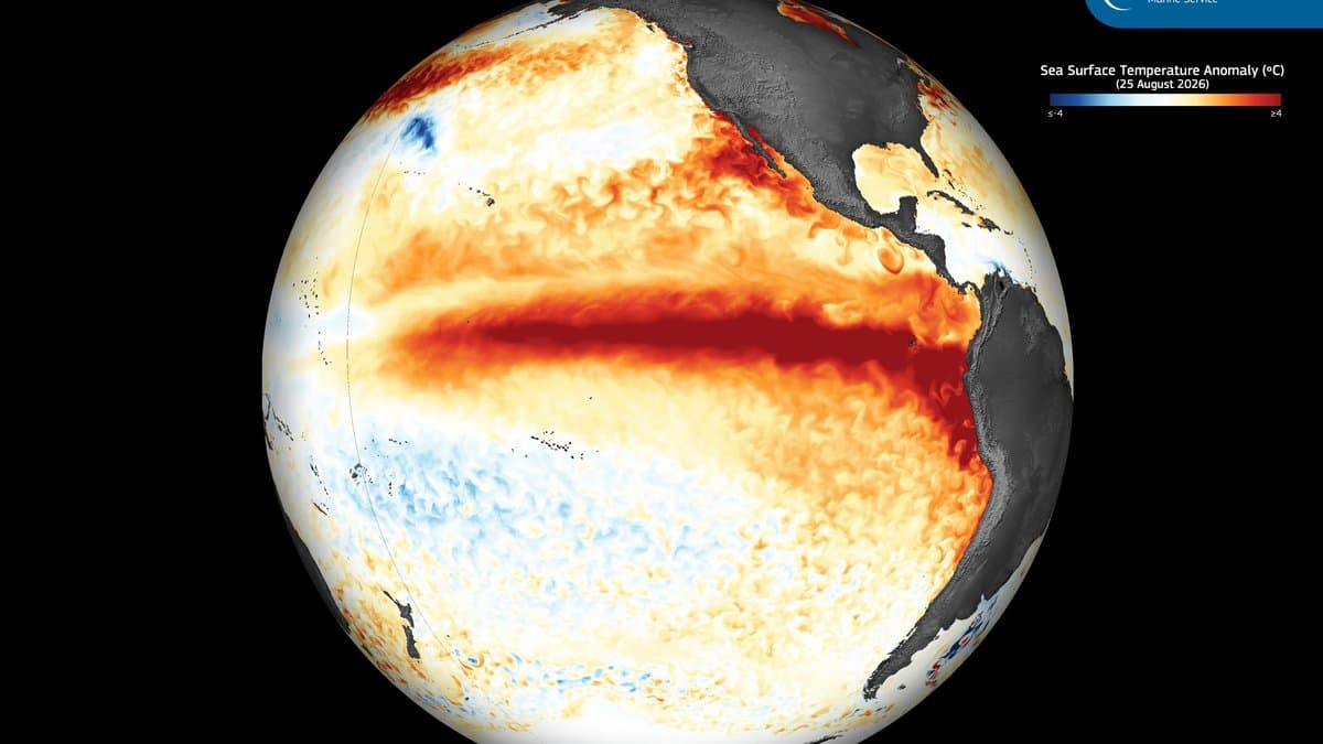 Satellite map of the Pacific Ocean shown on a globe, with sea-surface temperature anomalies shaded from blue to red and a broad red band running along the equator from the central to the eastern Pacific.