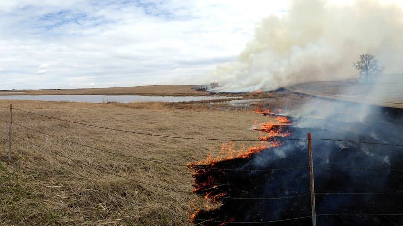 A line of low flames burns through dry cured grassland, with pale smoke drifting up and blackened ground behind the fire front.