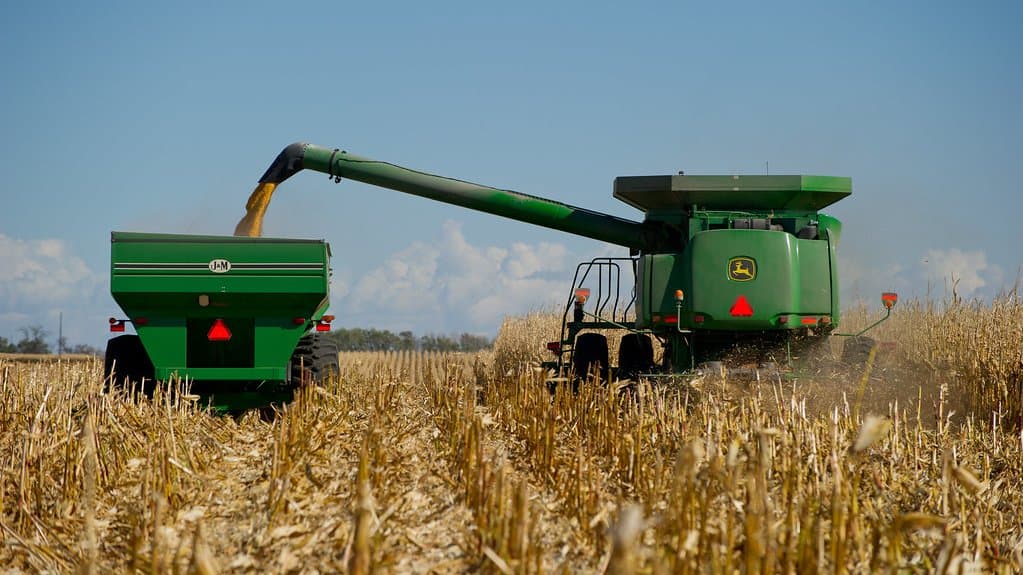 A green combine harvester unloads freshly picked corn through a spout into a grain cart driven alongside it across a cut cornfield under a blue sky.