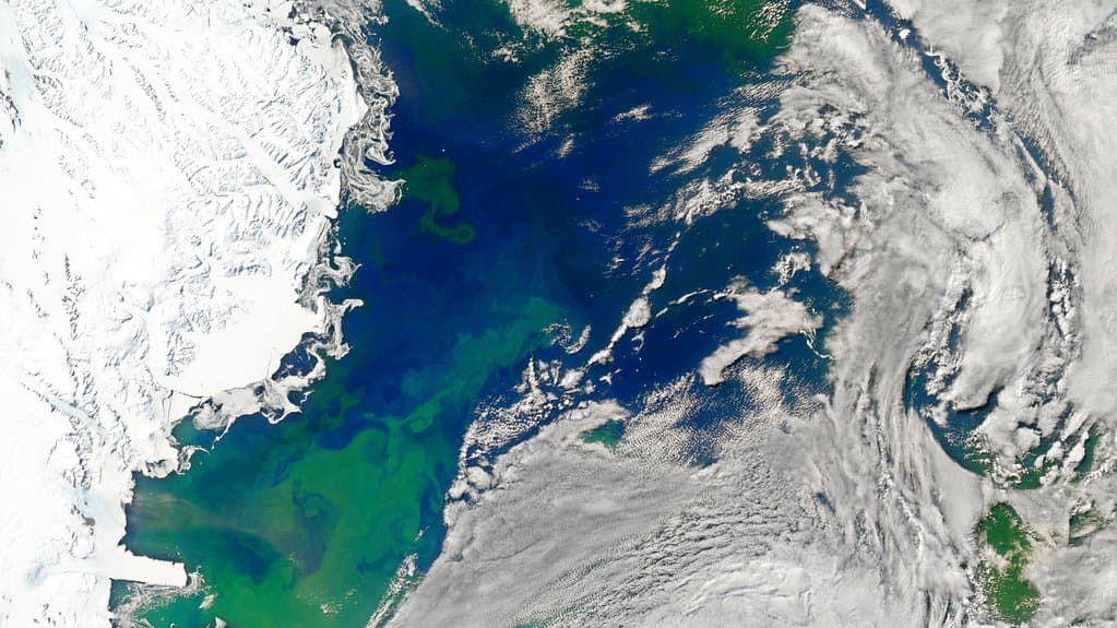 Satellite true-colour view of the eastern Ross Sea, Antarctica: bright green phytoplankton swirls through dark blue open water beside the white Antarctic ice coast, with cloud bands over the ocean to the east.