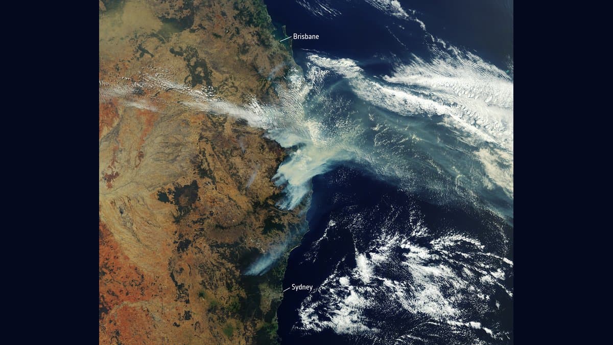 Satellite view of eastern Australia: thick pale wildfire smoke streams from inland fires out across the Pacific Ocean past the labelled coastal cities of Brisbane and Sydney.