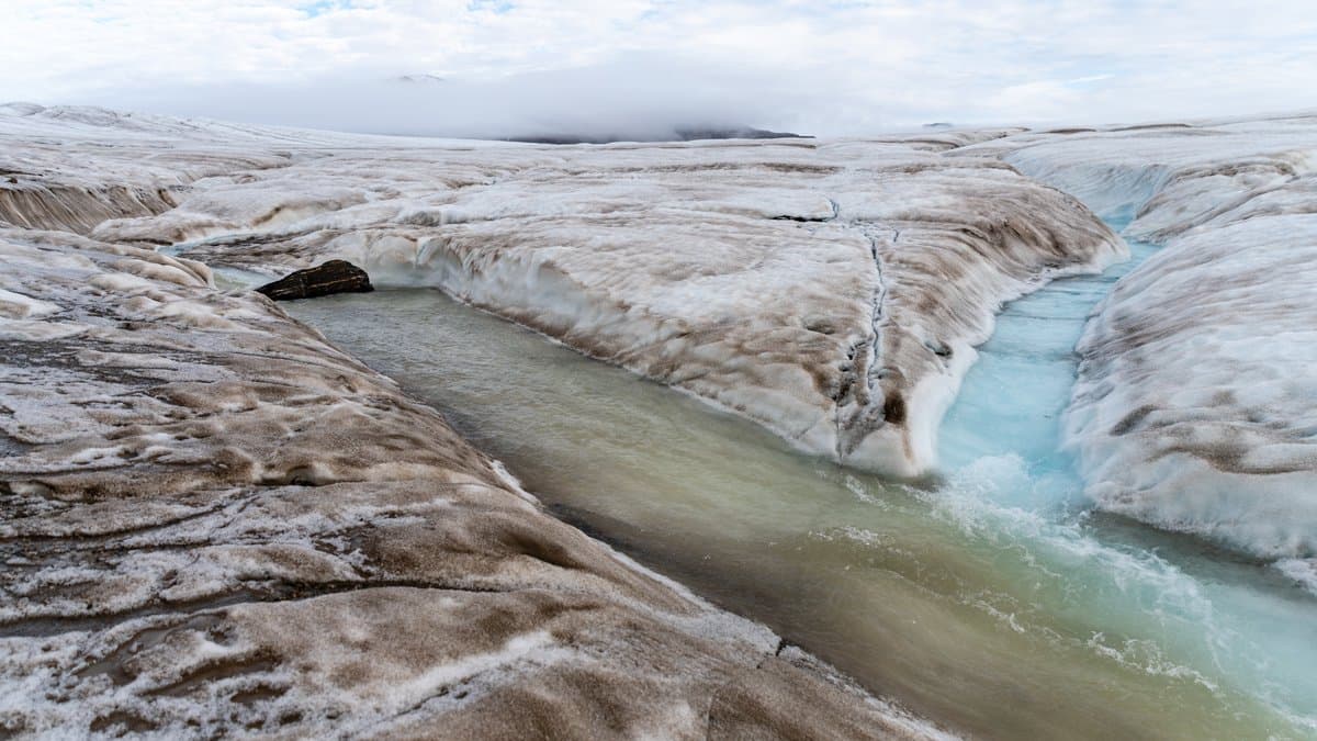 A sediment-stained meltwater river cutting a deep channel across the bare ice surface of Nordenskiold Glacier in Svalbard, with pale turquoise ice walls and low cloud over the ice cap behind.