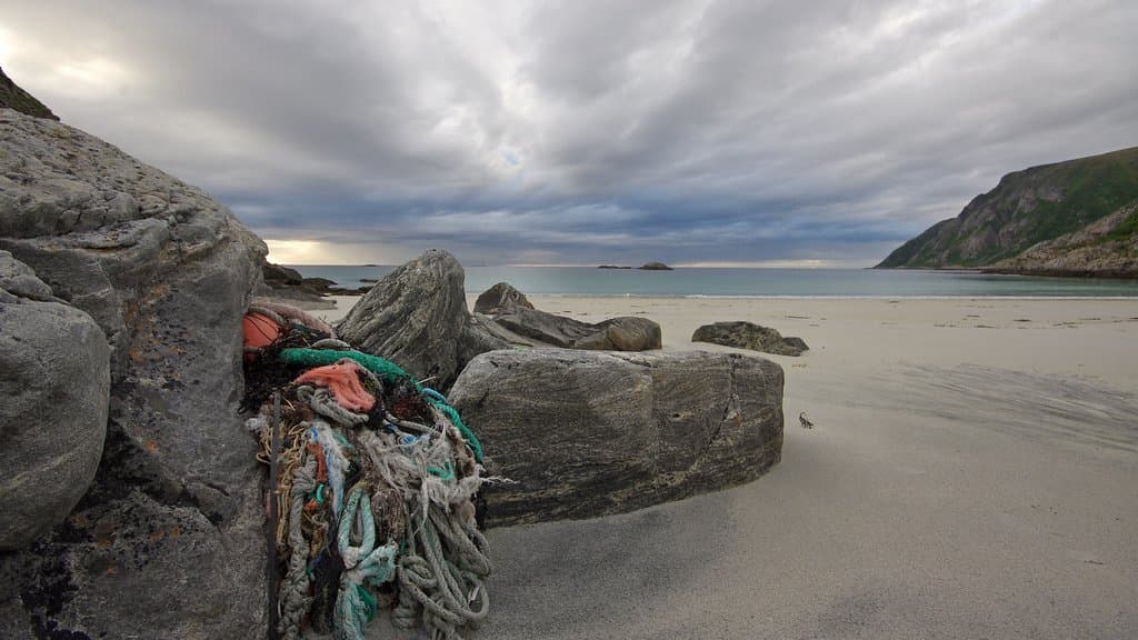 A tangle of weathered rope and netting wedged among rocks on a sandy beach under a gray sky.