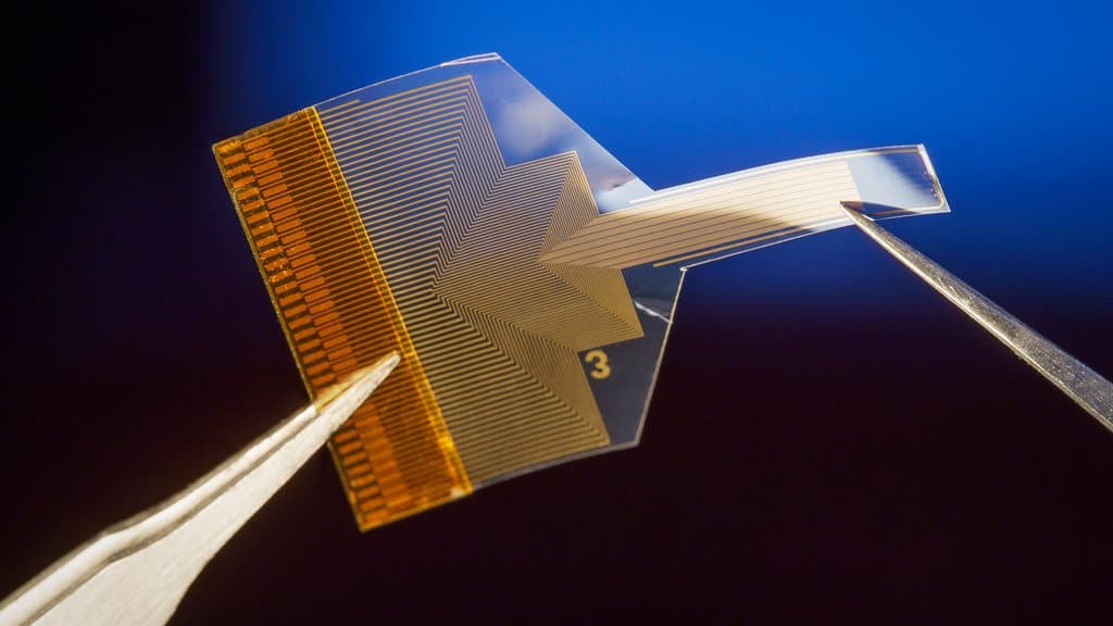 Tweezers hold a transparent flexible electrode array threaded with fine gold wiring against a blue background.